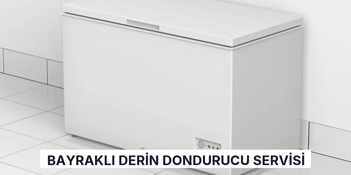 Bayraklı Derin Dondurucu Servisi