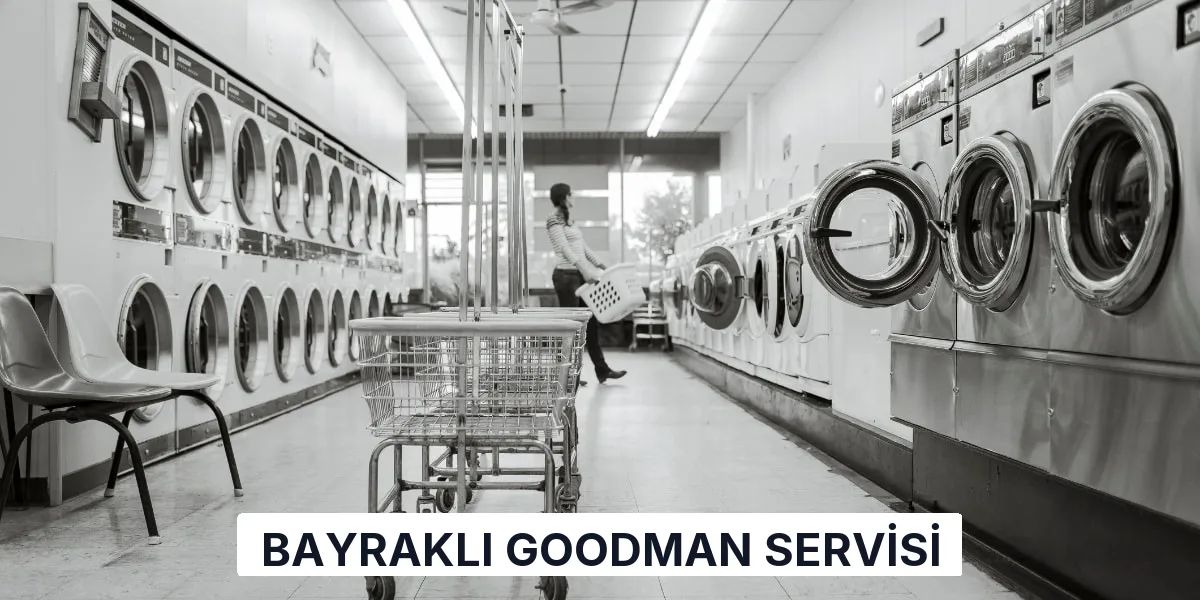 Bayraklı Goodman Servisi