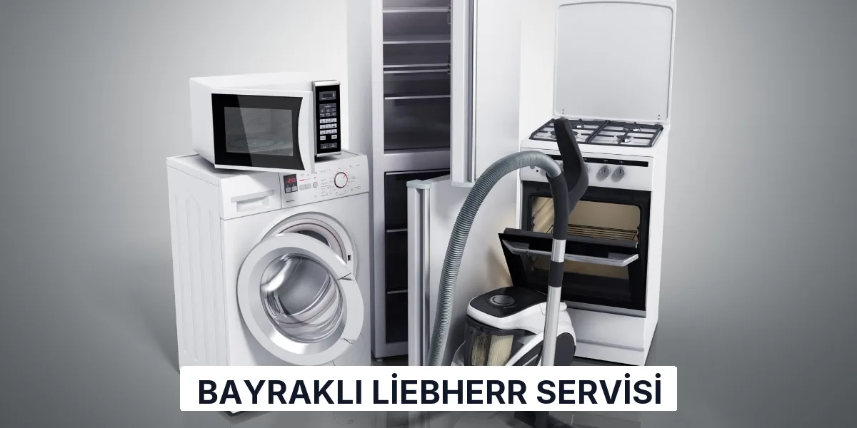 Bayraklı Liebherr Servisi