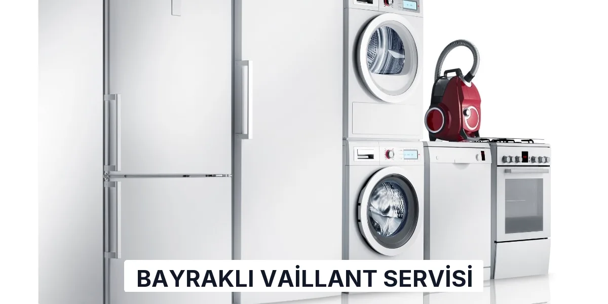 Bayraklı Vaillant Servisi